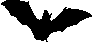 bat